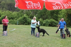 Familientag-Hunderennen