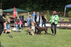 Familientag