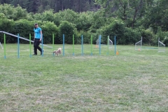 Familientag