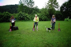 Hunderennen 2016