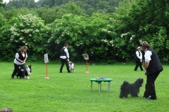 Tag des Hundes 2016