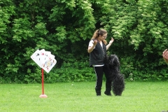 Tag des Hundes 2016