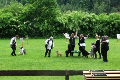 Tag des Hundes 2016