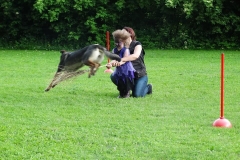 Tag des Hundes 2016