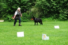 Tag des Hundes 2016