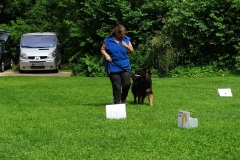 Tag des Hundes 2016