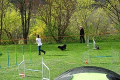 Agility Turnier 2015