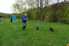 Agility Turnier 2015