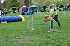 Agility Turnier 2015