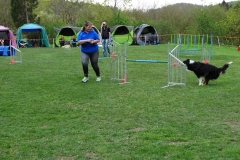 Agility Turnier 2015