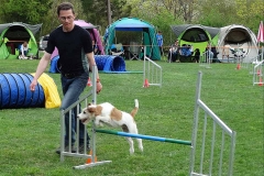 Agility Turnier 2015