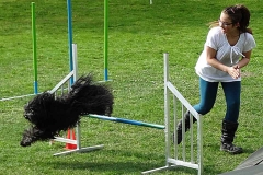 Agility Turnier 2015