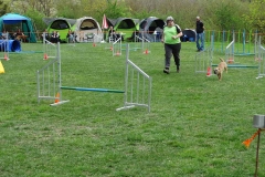 Agility Turnier 2015