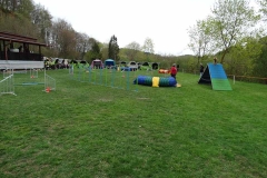 Agility Turnier 2015