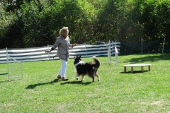Dog Dance