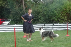 Dog Dance