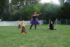 Dog Dance