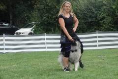 Dog Dance