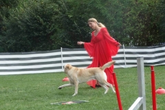 Dog Dance