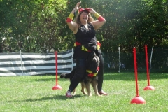 Dog Dance