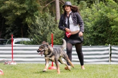 Dog Dance