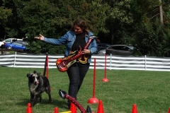 Dog Dance