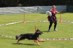Dog Dance