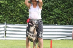 Dog Dance
