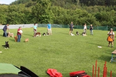 Dog Dance