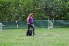 Dog Dance