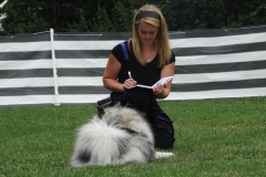 Dog Dance