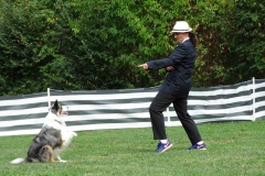 Dog Dance