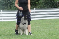 Dog Dance