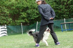 Dog Dance