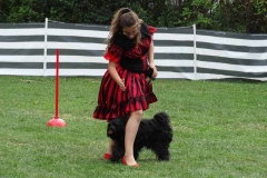 Dog Dance