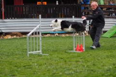 AGI Turnier 2018