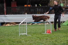 AGI Turnier 2018