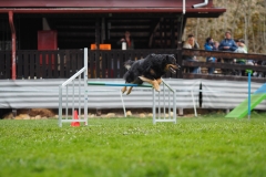 AGI Turnier 2018