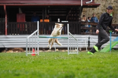 AGI Turnier 2018