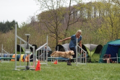 AGI Turnier 2018