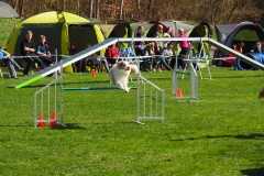 AGI Turnier 2018