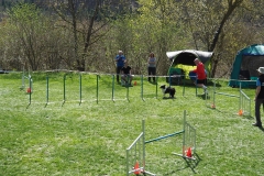 AGI Turnier 2018