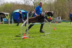 AGI Turnier 2018A