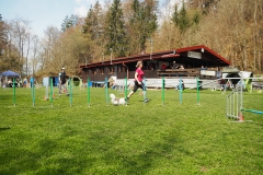 AGI Turnier 2018