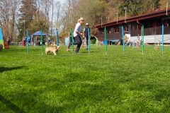 AGI Turnier 2018
