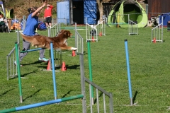 AGI Turnier 2018
