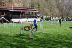AGI Turnier 2018