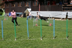 AGI Turnier 2018
