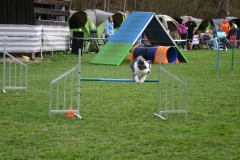 AGI Turnier 2018