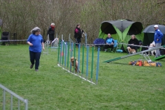 AGI Turnier 2018